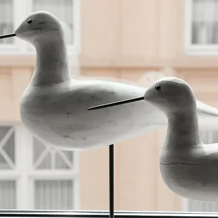 Διαμέρισμα Zonnig & Gezellig Centrum